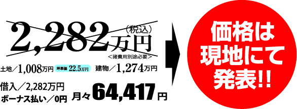 金額・支払い例